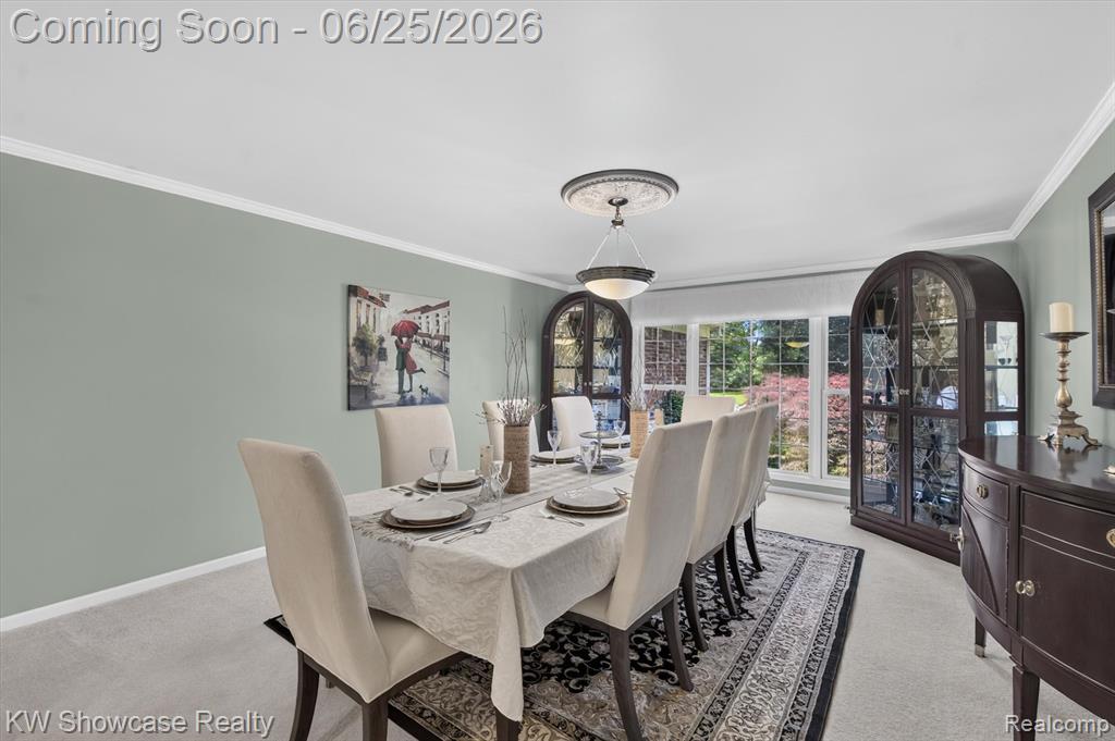 11073 Sandy Creek Drive, South Lyon, MI 48178 — Photo 12