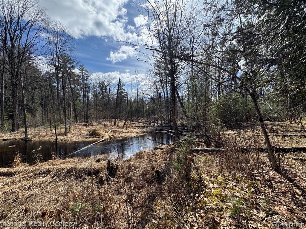 4233 Hardacre Trail, Houghton Lake, MI 48629 — Photo 18