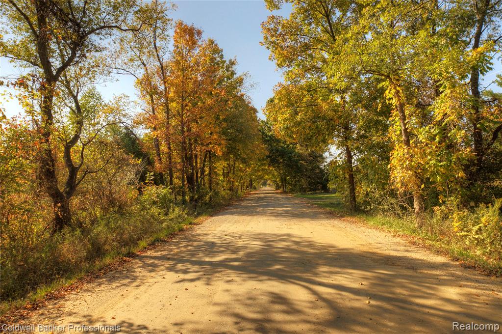 2782 Gravel Creek Road, North Branch, MI 48461 — Photo 57