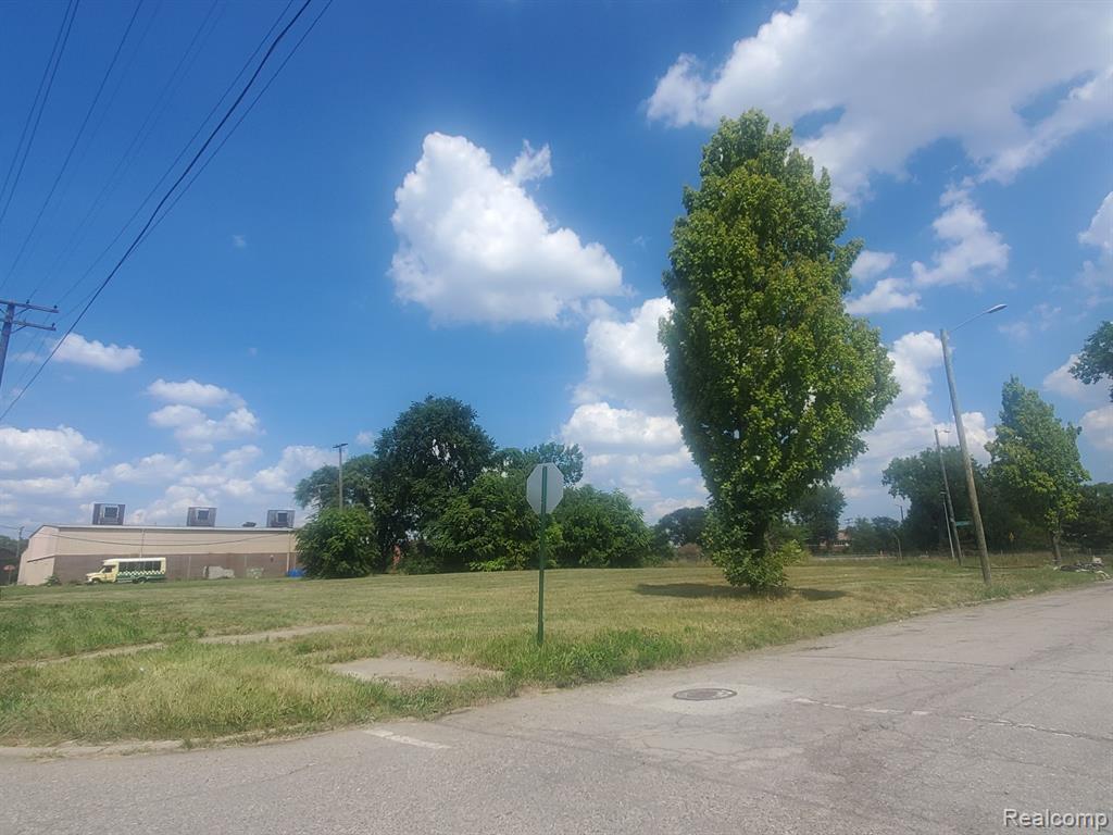 11534 WOODROW WILSON Street, Detroit, MI 48206 — Photo 7
