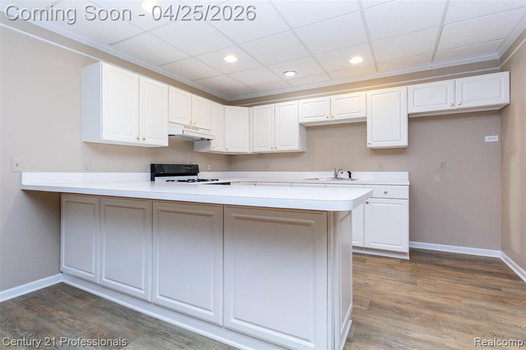 4680 Rambling Drive, Troy, MI 48098 — Photo 51