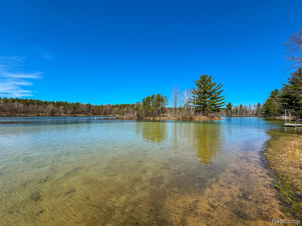 153 TIPPI Trail, Buckley, MI 49620 — Photo 40