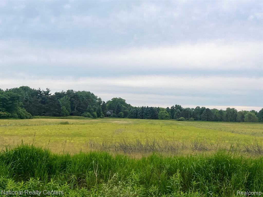 PARCEL G BURT Road, Allenton, MI 48002 — front exterior