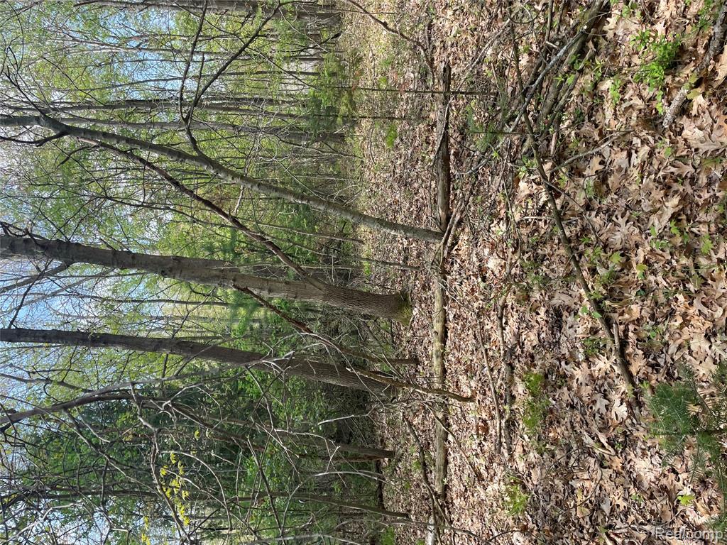 NA Oakridge Drive, Au Gres, MI 48703 — Photo 10