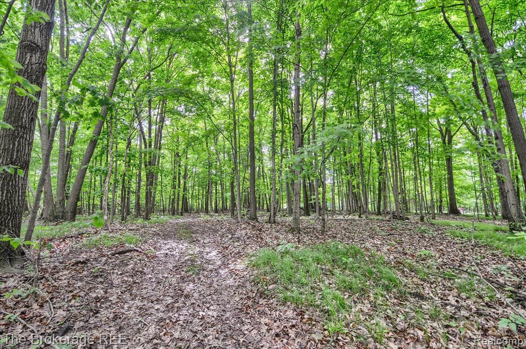 4077 ATLAS Road, Davison, MI 48423 — Photo 51