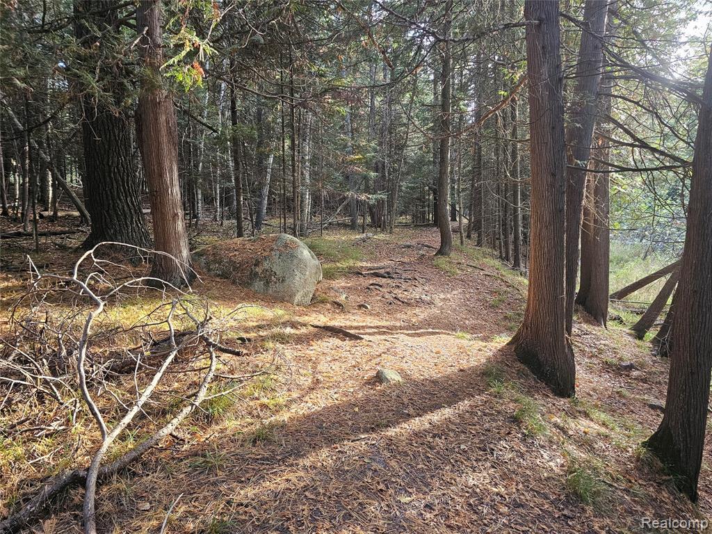 4901 M-55, Tawas City, MI 48763 — Photo 50