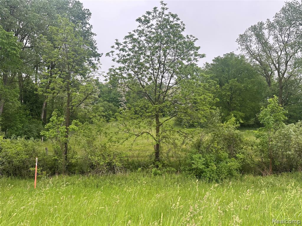 VL Mertz Road, Mayville Vlg, MI 48744 — Photo 12