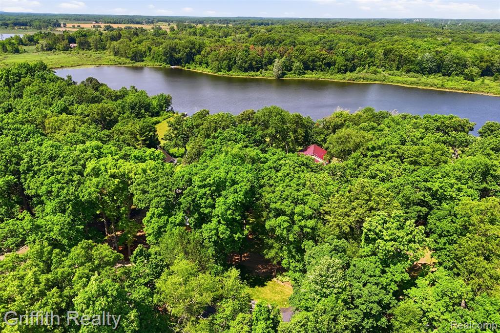 260 Ellsworth Lake Drive, Gregory, MI 48137 — Photo 37