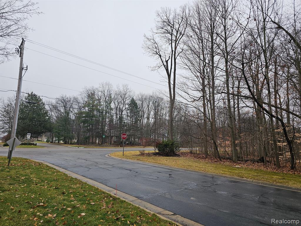 2291 WOODS WEST Drive, Flushing, MI 48433 — Photo 20