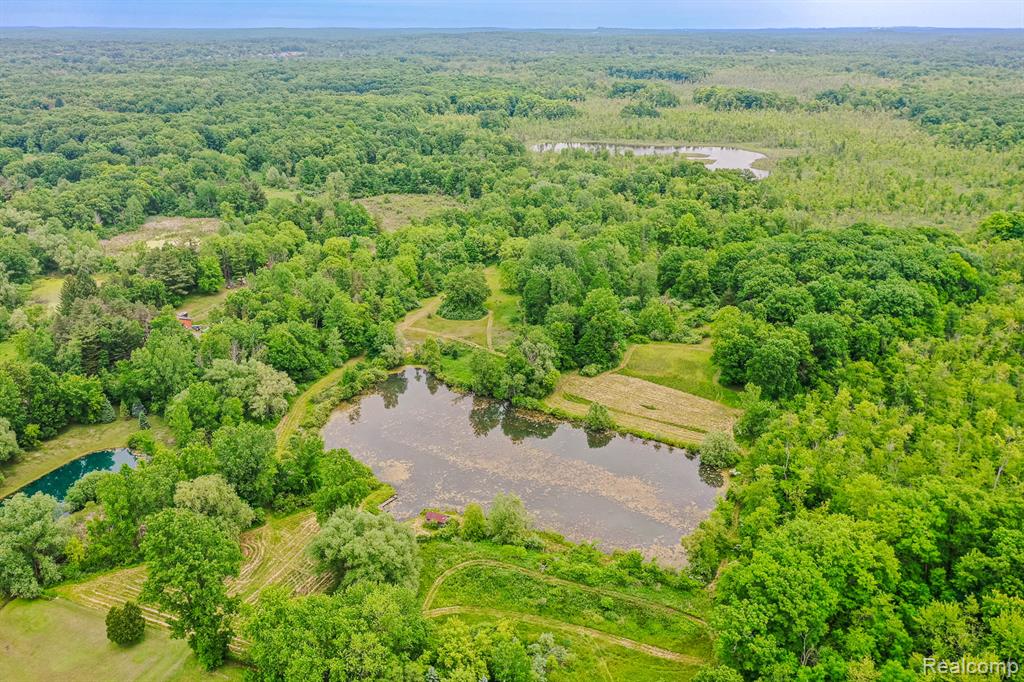 5180 Hillsboro Road, Davisburg, MI 48350 — Photo 47