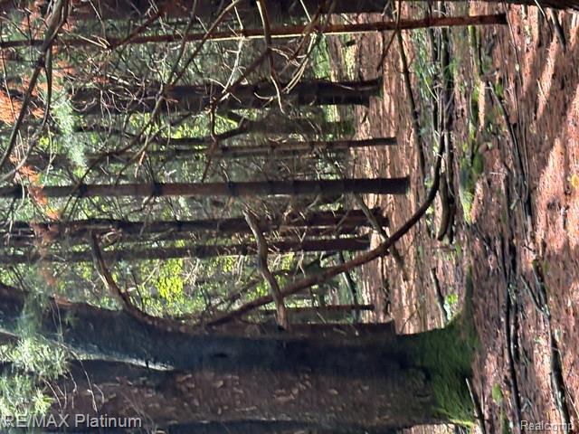Parcel 4 Dauner Road, Fenton, MI 48430 — Photo 10
