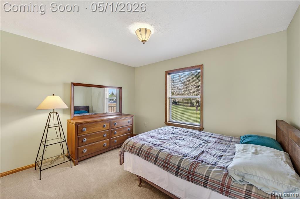 9074 Hamburg Road, Brighton, MI 48116 — Photo 19