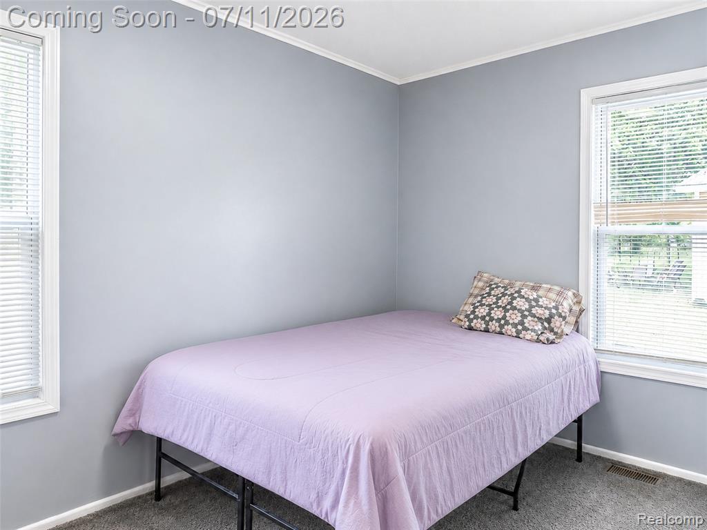 3120 La Salle Drive, Ann Arbor, MI 48108 — Photo 18