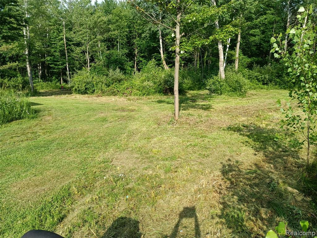 2601 Underwood Road, Caro, MI 48723 — Photo 29