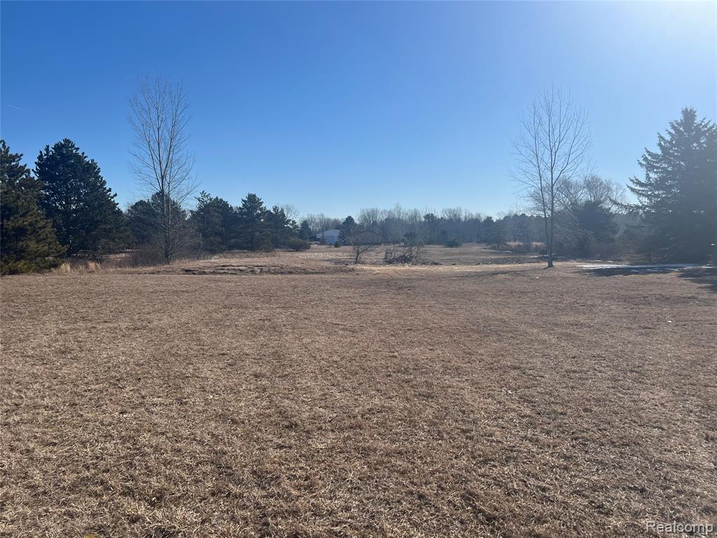 VL Mertz Rd, Mayville Vlg, MI 48744 — Photo 3