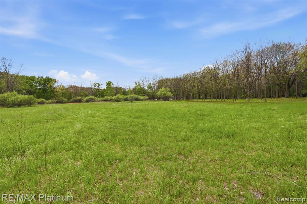 0 Hannah Jane Drive, Fowlerville, MI 48836 — Photo 5