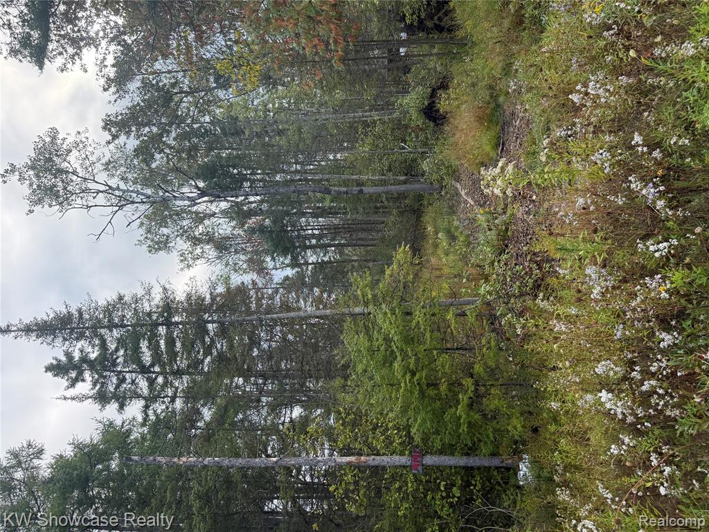 Parcel 2 Leaf Lane, Freeport, MI, 49325