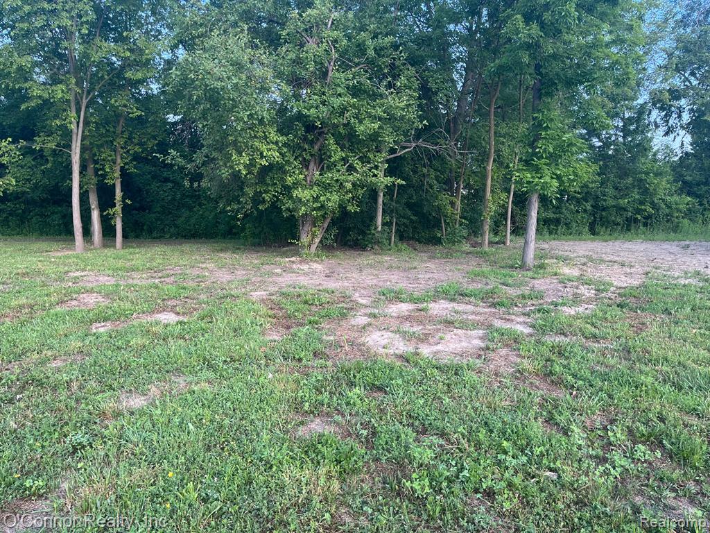 80 CAPITOL Drive, Marysville, MI 48040 — Photo 4
