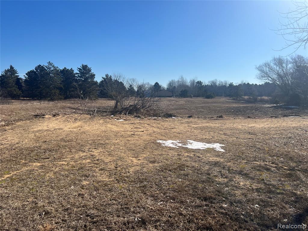 VL Mertz Rd, Mayville Vlg, MI 48744 — Photo 7