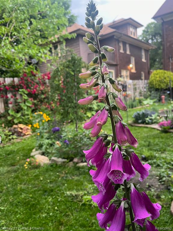 4815 Iroquois Street, Detroit, MI 48214 — Photo 63