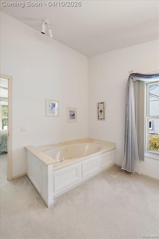 47651 Red Run Drive, Canton, MI 48187 — Photo 40