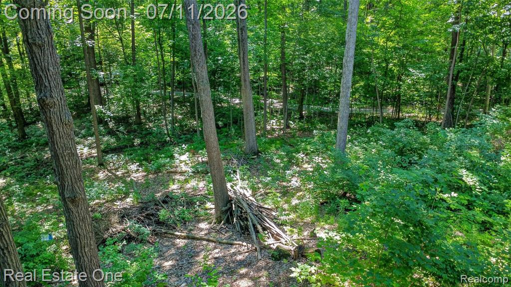 310 S Van Road, Holly, MI 48442 — Photo 52