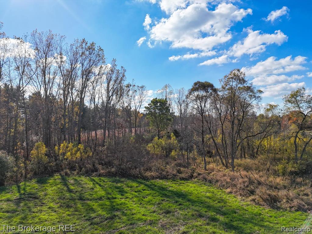 VL Janna Leigh Drive, Otter Lake, MI 48464 — Photo 5
