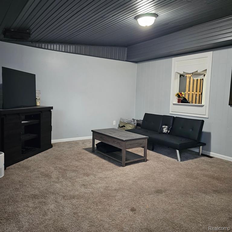205 N Elm Road, Webberville, MI 48892 — Photo 9