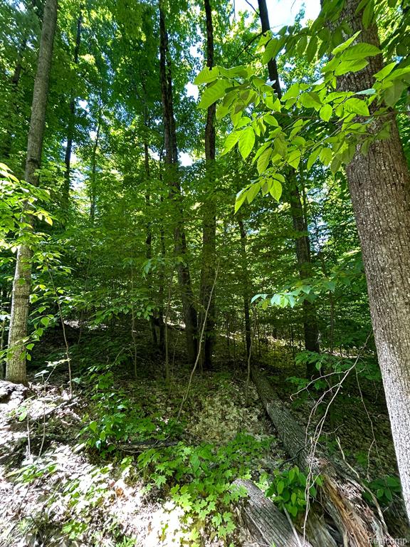 VL Smith Lake Road, Mancelona, MI 49659 — Photo 3