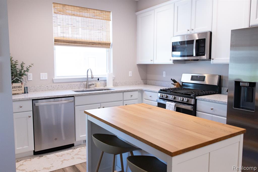527 ANNE Avenue, Brighton, MI 48116 — Photo 10