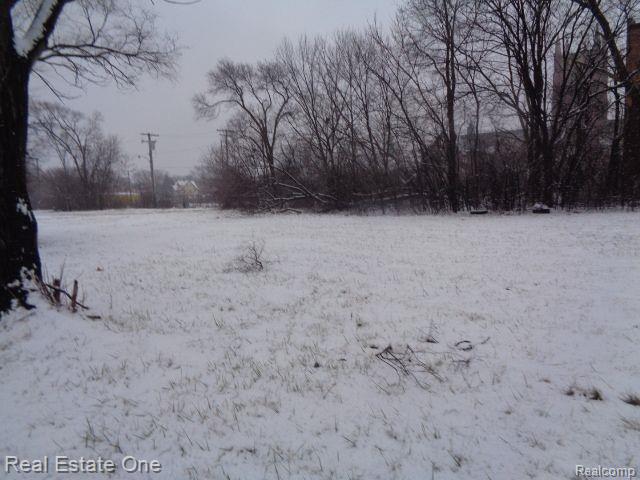 2691 ROCHESTER Street, Detroit, MI 48206 — Photo 13