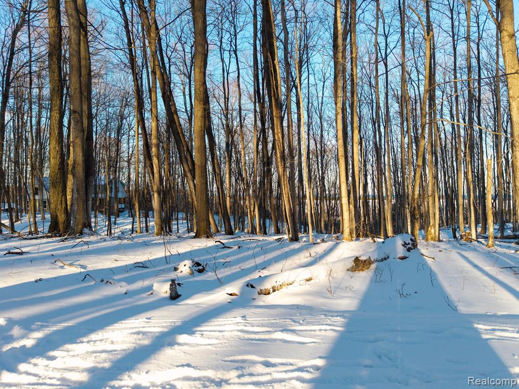 lot 4 BAY RIDGE ESTATES Drive, Ellsworth, MI 49729 — Photo 5