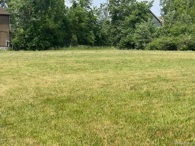 2218 VAN DYKE - Photo 4