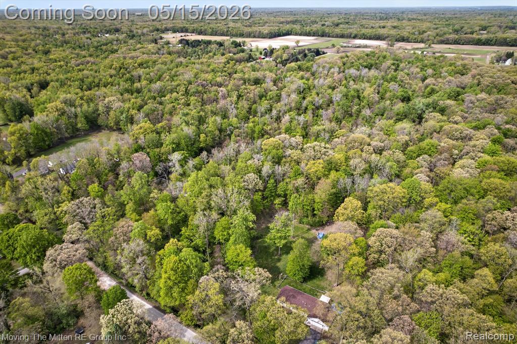 22530 Bohn Road, Belleville, MI 48111 — Photo 12