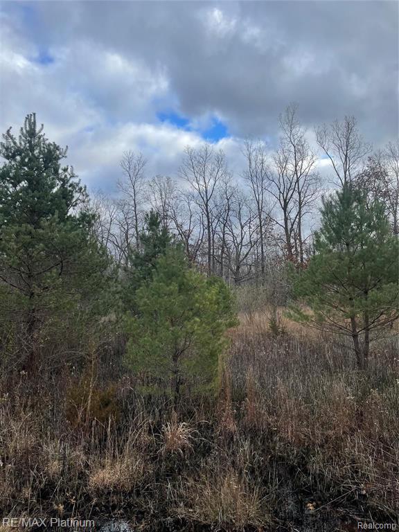 0 SEYMOUR Road, Linden, MI 48451