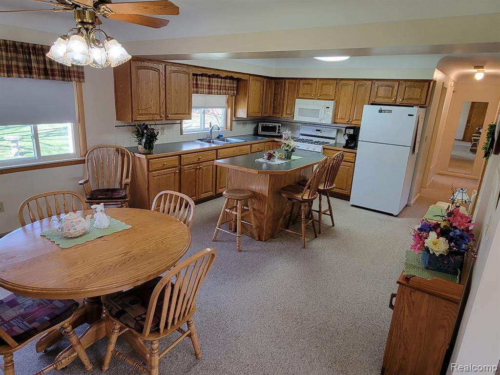 42 S FLOWER Street, Croswell, MI 48422 — Photo 5