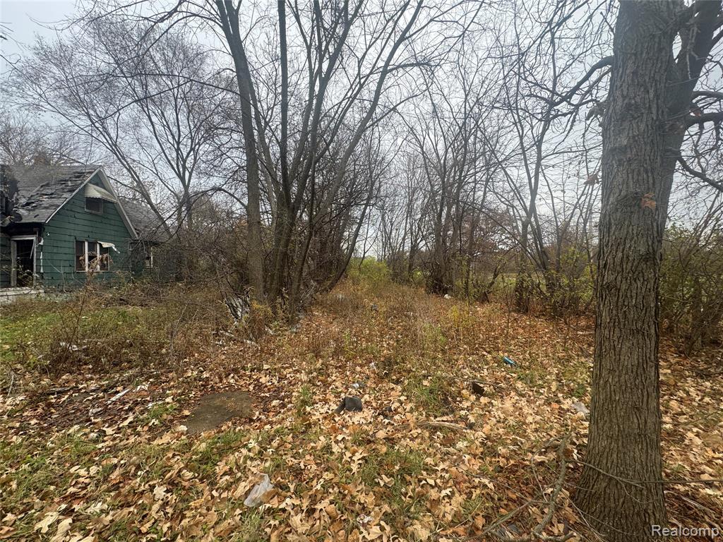 4226 18TH Street, Detroit, MI 48208 — Photo 9