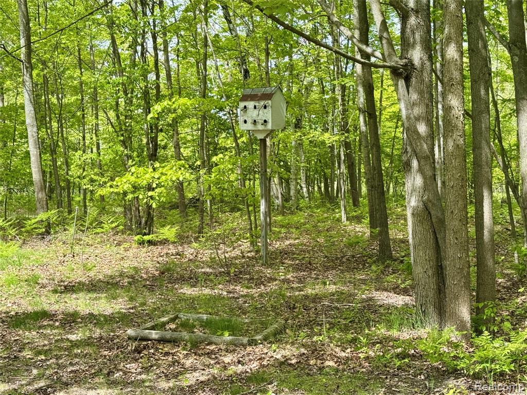 499 E Winegars Road, Gladwin, MI 48624 — Photo 4