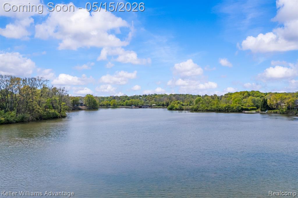 42505 Bradner Road, Northville, MI 48168 — Photo 46