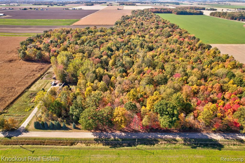 4000 S Reese Road, Frankenmuth, MI 48734