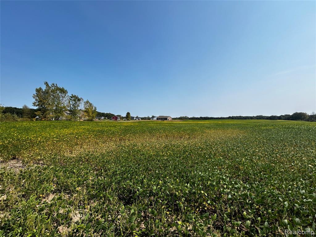 Parcel N N Hacker Road, Howell, MI 48843 — Photo 13