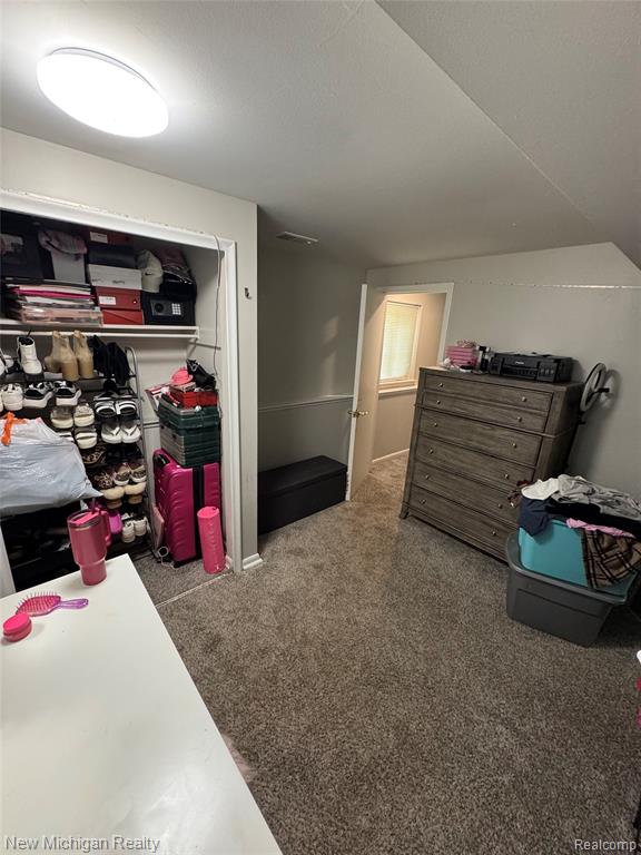 12335 Erika Street, Hartland, MI 48353 — Photo 11