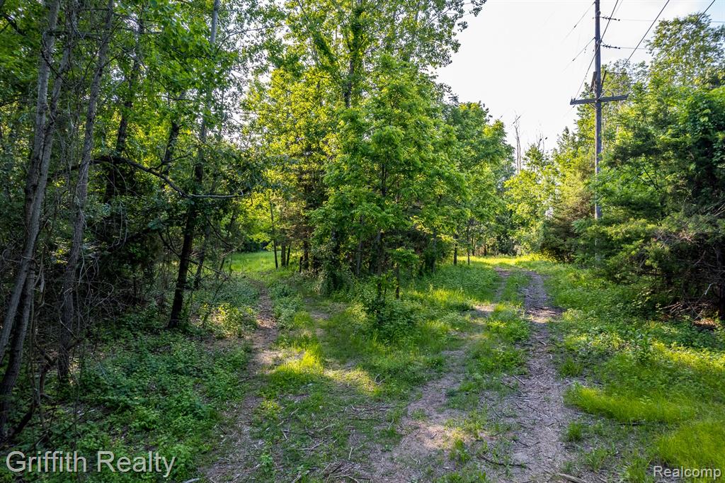 4433 Brighton Parcel D Road, Howell, MI 48843 — Photo 11