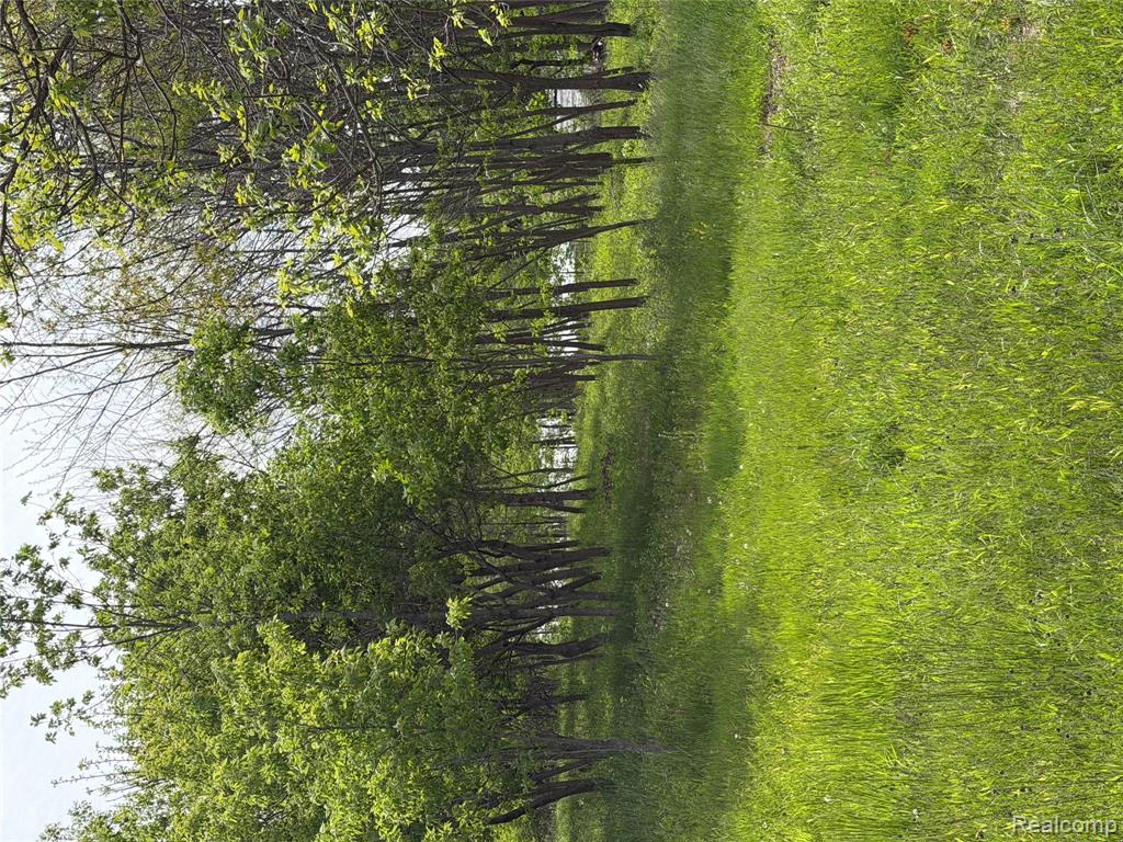 9200 Perry Road, Atlas, MI — Photo 3