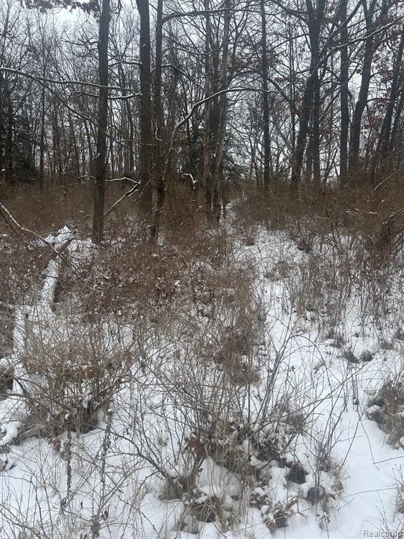 1605 SE Sterling Oaks Court, Ada, MI, 49301