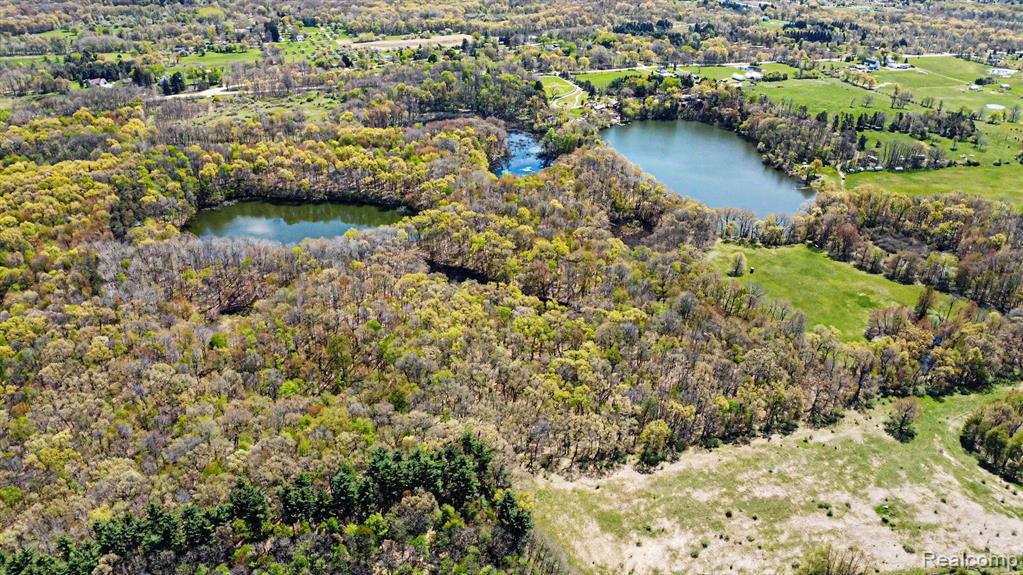 Parcel #3 Milford Rd, Holly, MI 48442 — Photo 19