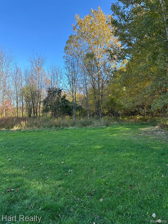 5102 BROWN Road, Kenockee, MI 48006 — Photo 4