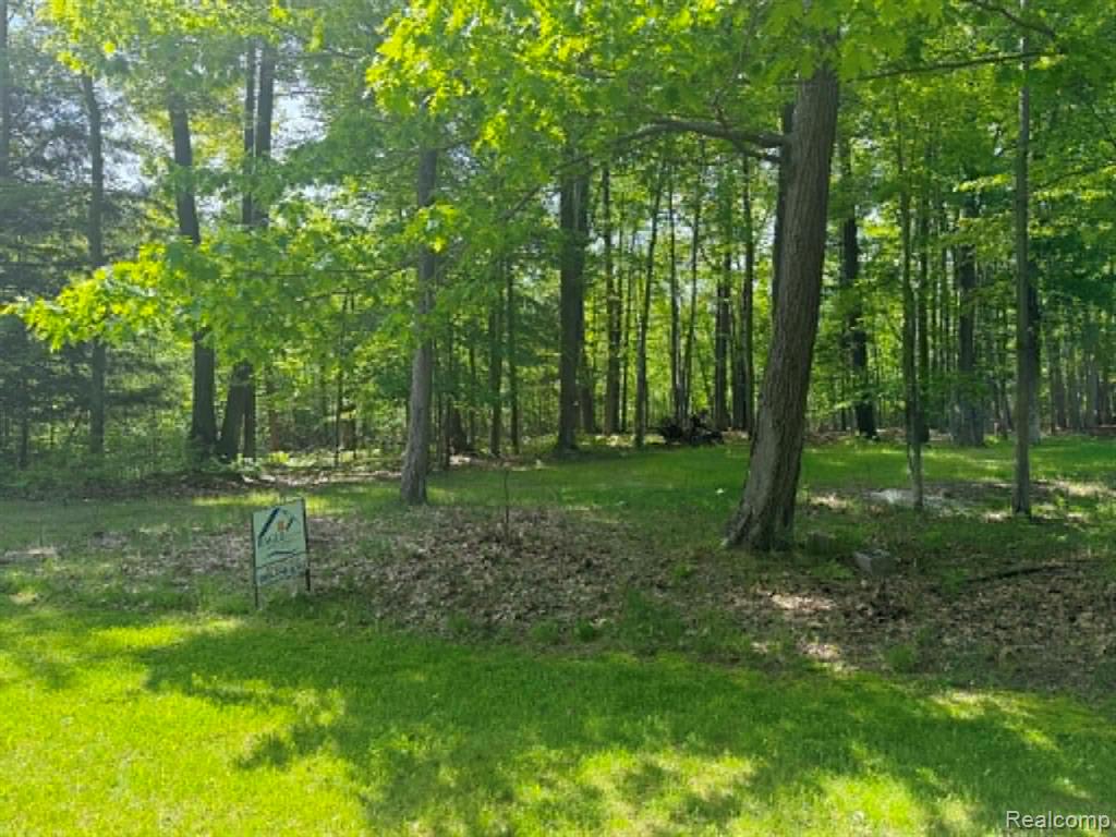 Lot 4 Towering Oaks Drive, Port Austin, MI — Photo 4