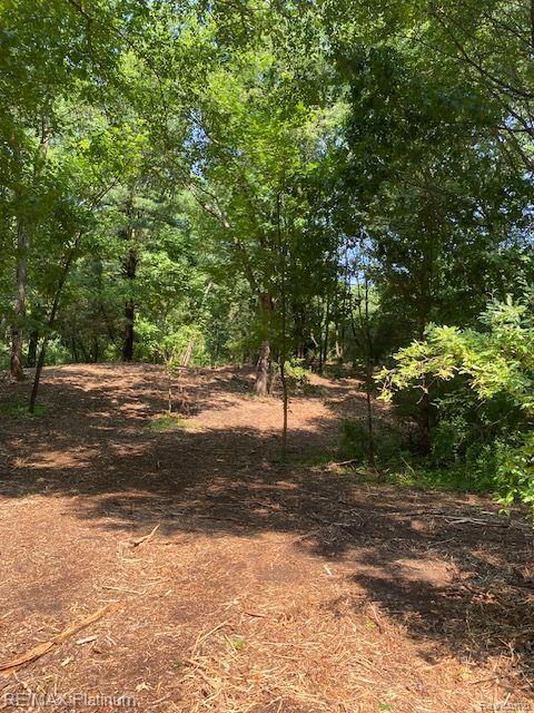 5 Sleaford-Parcel 5 - 2.5 Acres Road, Howell, MI 48843 — Photo 44