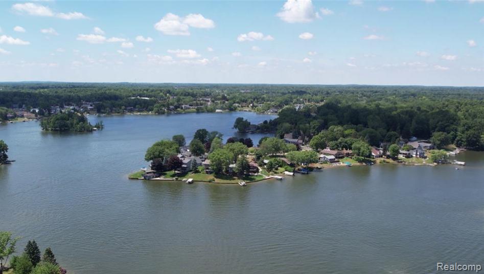 8461 Woodland Shore Drive, Brighton, MI 48114 — Photo 21